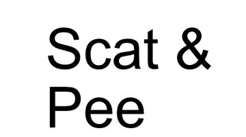 Scat & Pee