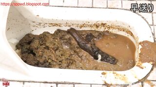 Japanese girls pooping in extreme filthy smelly and full of shit public toilet xxx porn video