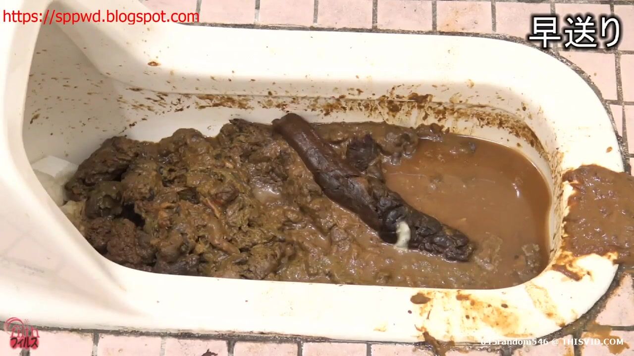 Japanese girls pooping in extreme filthy smelly and full of shit public toilet xxx porn video Pervert Tube image photo