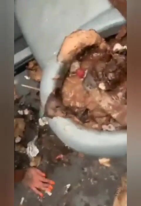 Extreme disgusting public toilet scat licking whore xxx porn video - PervertTube.com