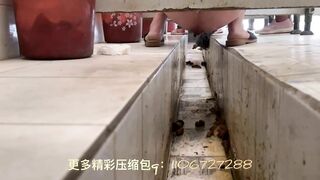 Women poop in dirty toilets 14