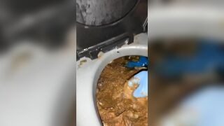 Disgusting porta potty scat domination