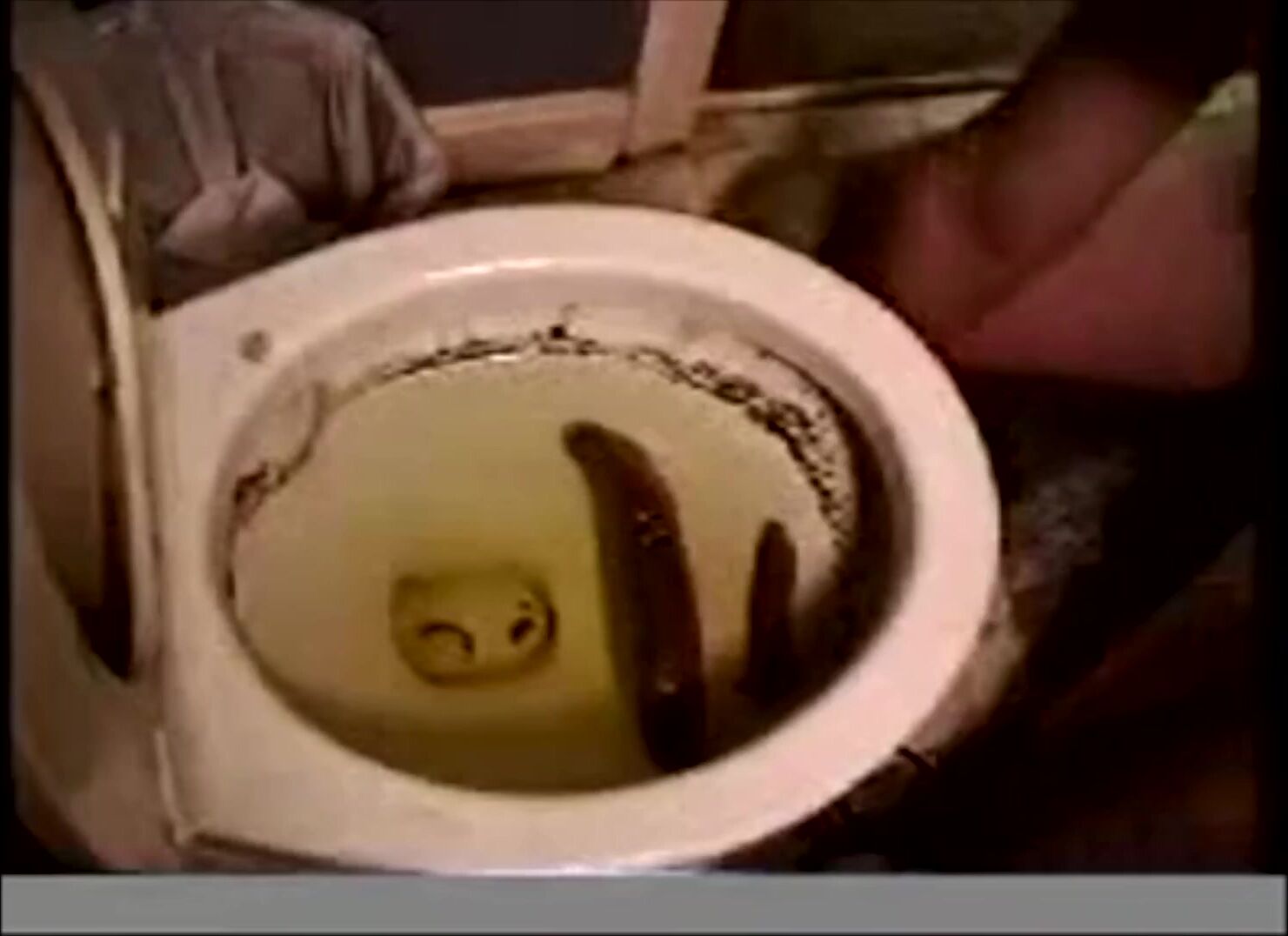 Dirty scat gay picks up a huge turd from the toilet then sucks it xxx porn video Pervert Tube photo